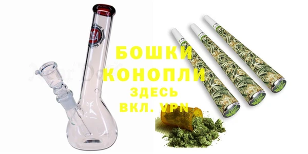 молекула духа Козельск