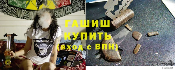 молекула духа Козельск