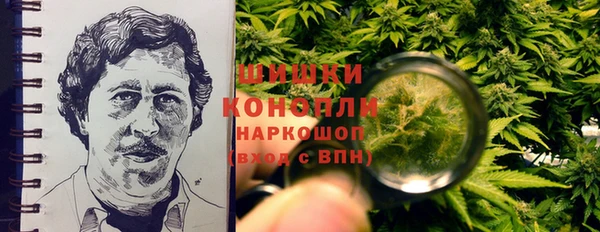 молекула духа Козельск