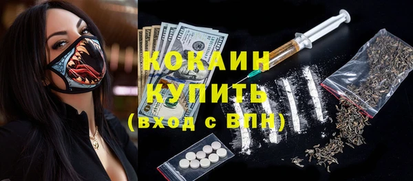 молекула духа Козельск
