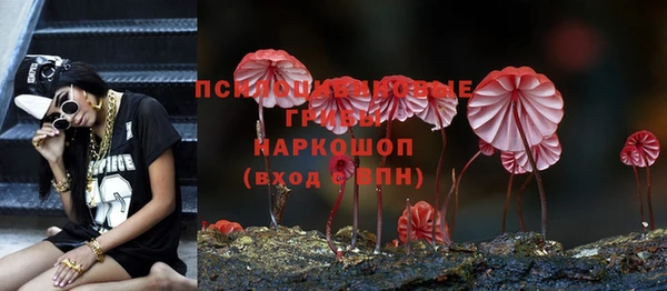 соль курить ск Козловка