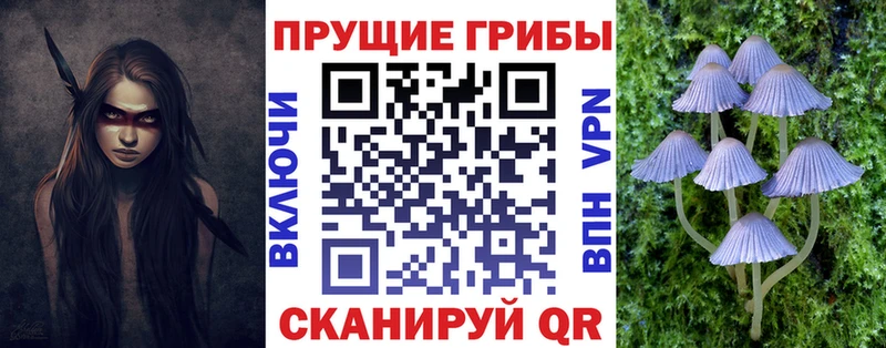 как найти закладки  Кумертау  Галлюциногенные грибы Cubensis 